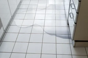 Refrigerator Leaking Water? Here's What to Check in Edmond OK